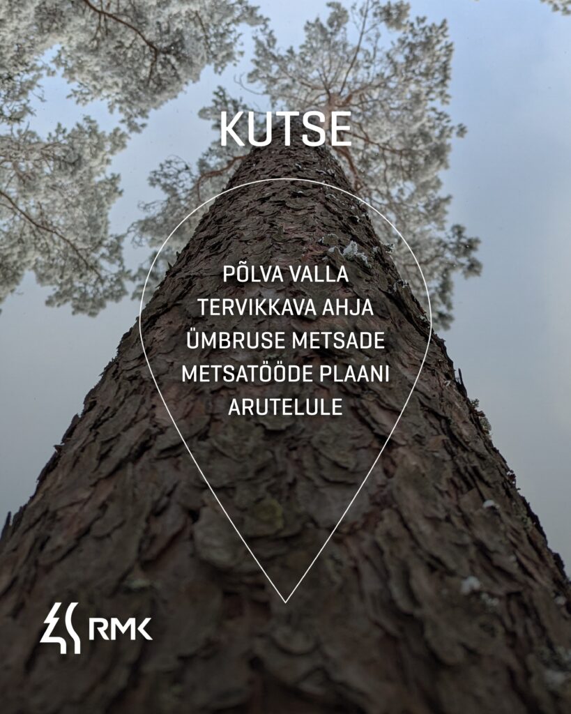 Polva kutse