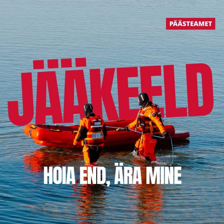 653390281 1440442134788750 4008251430348068982 n