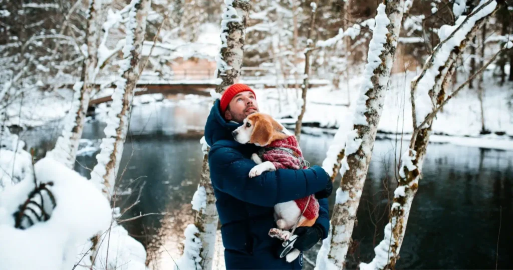 Talveuuring 1920x1013.jpg